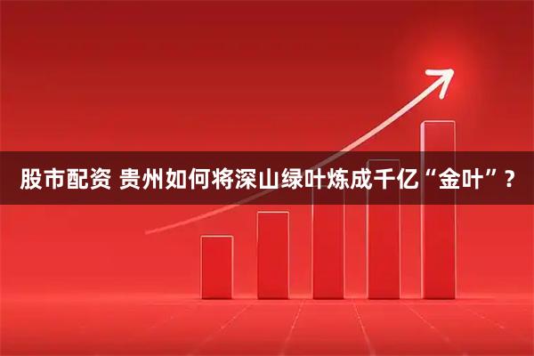 股市配资 贵州如何将深山绿叶炼成千亿“金叶”？