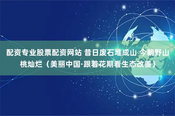 配资专业股票配资网站 昔日废石堆成山 今朝野山桃灿烂（美丽中国·跟着花期看生态改善）